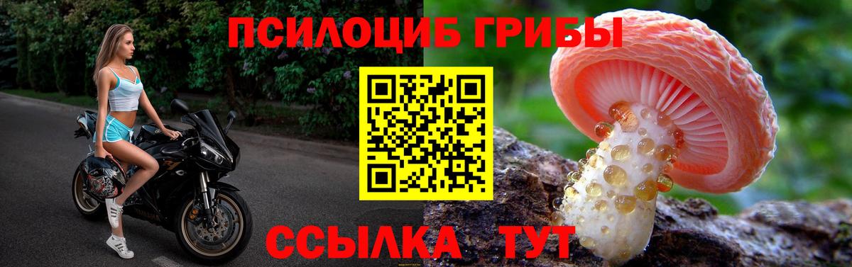 Крымск  Галлюциногенные грибы прущие грибы  Вход с VPN 